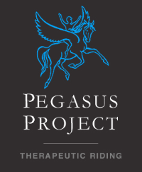 Pegasus Project